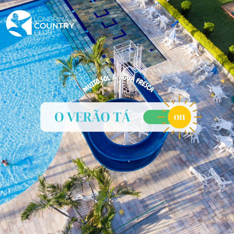 Notificação On e Off Verão Chegou Post Instagram Azul Com Coqueiros (1)